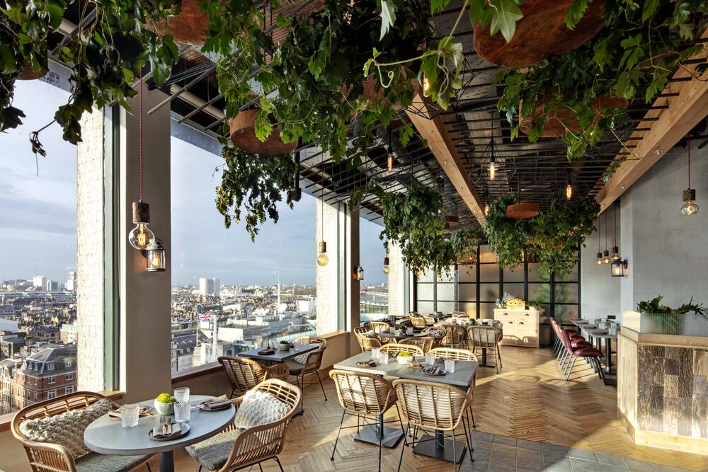 Treehouse London Hotel Frieze